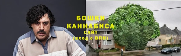 шишки Вязьма