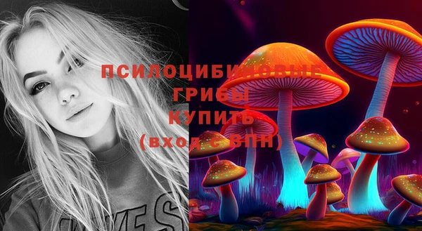 шишки Вязьма